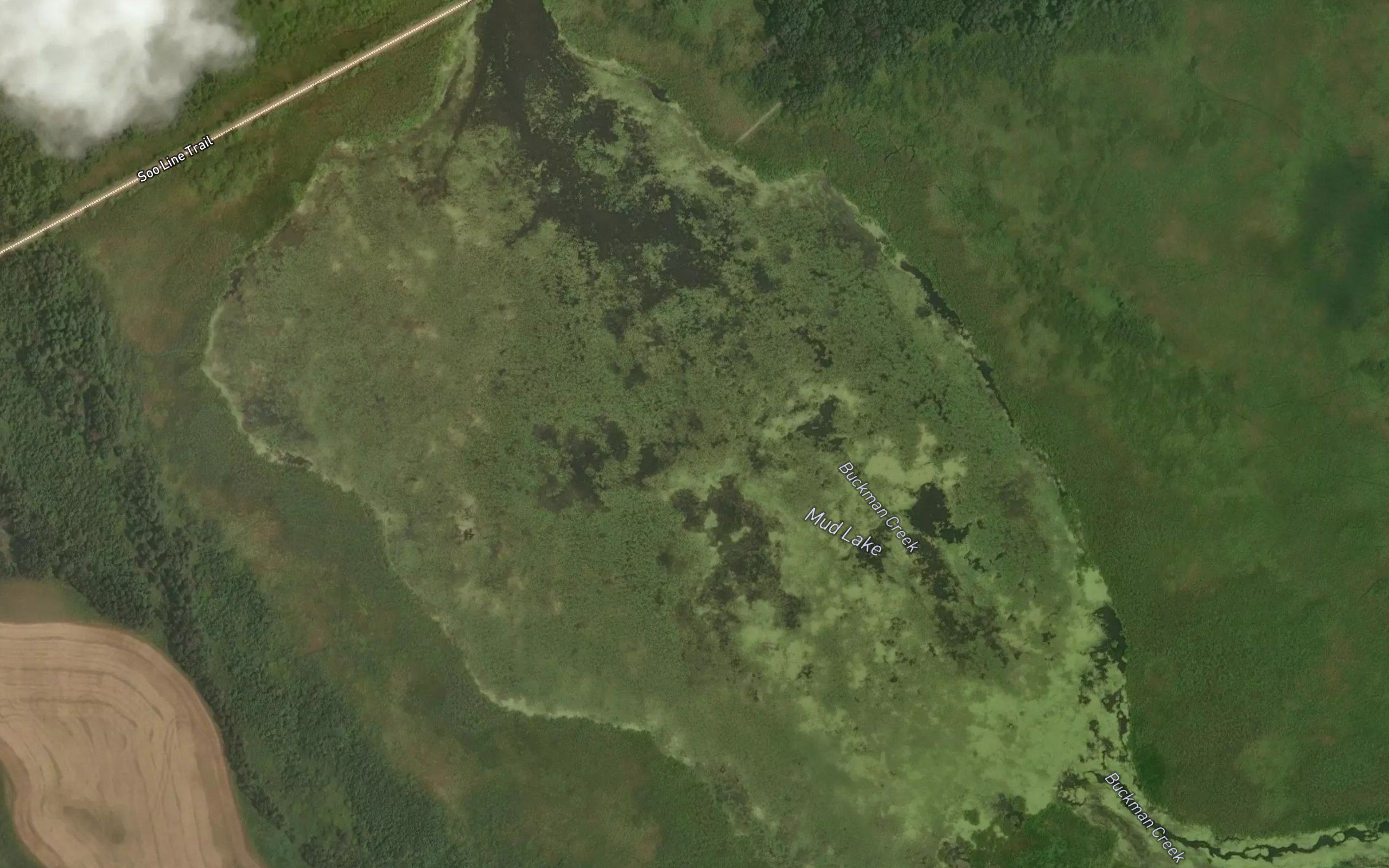 Mud Lake
