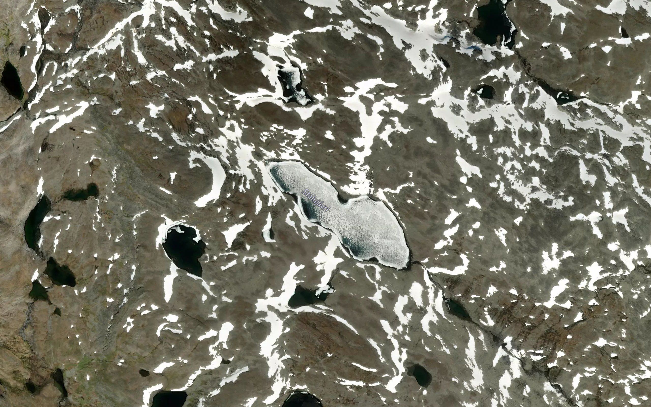Stalujavri