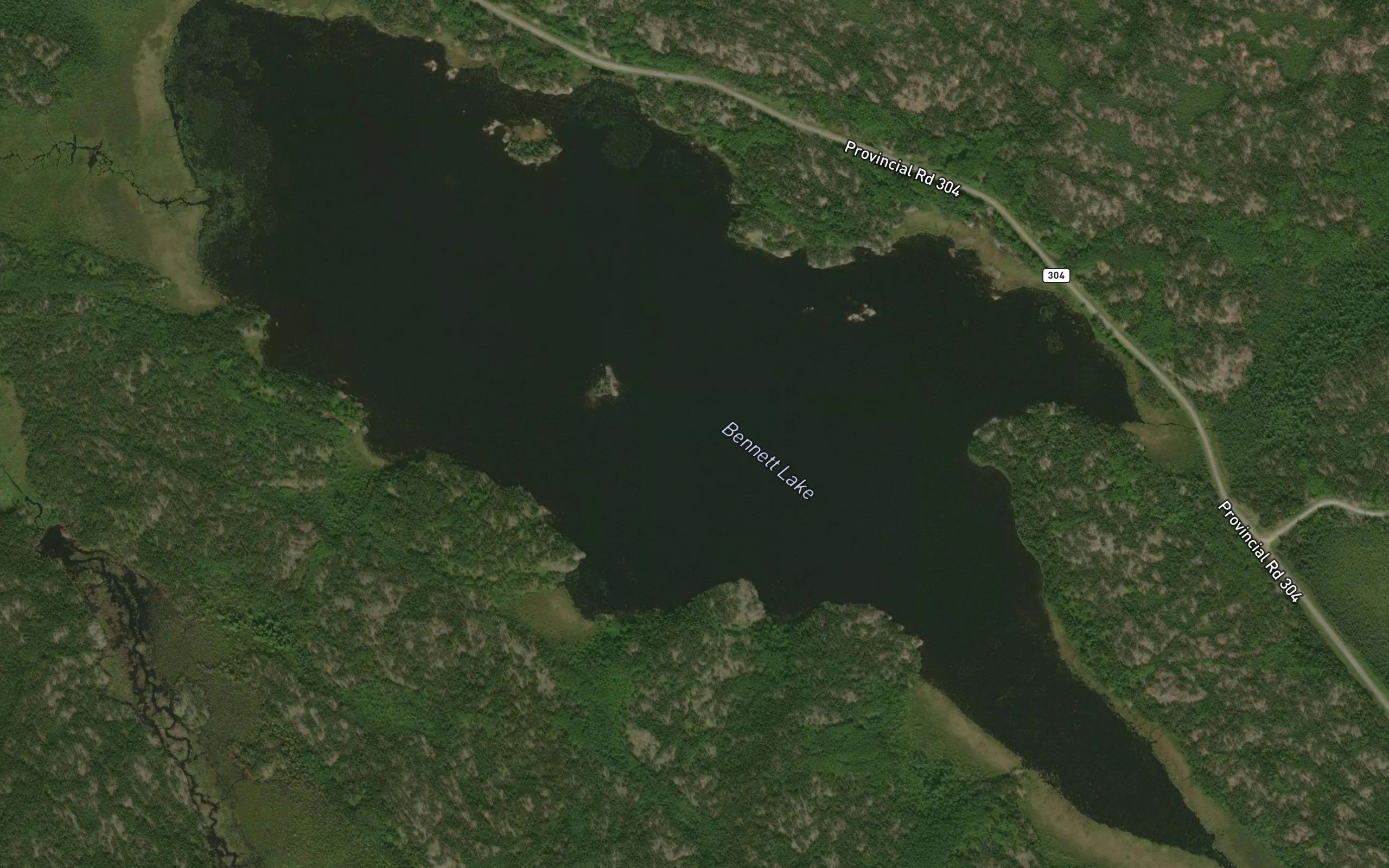 Bennett Lake