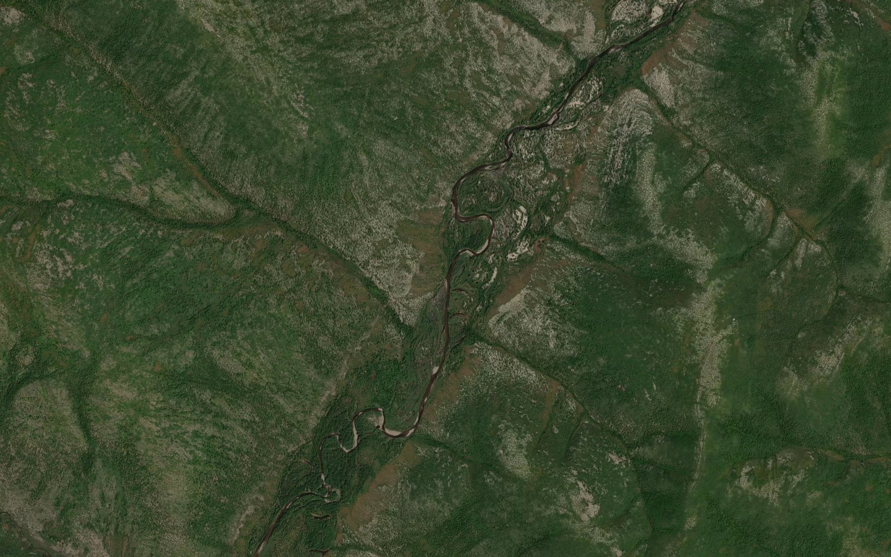 Satellite map of the Ryabchik