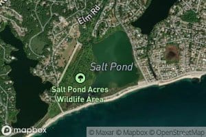 Salt Pond