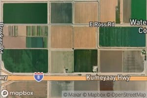 Ash Drain Thirtyseven