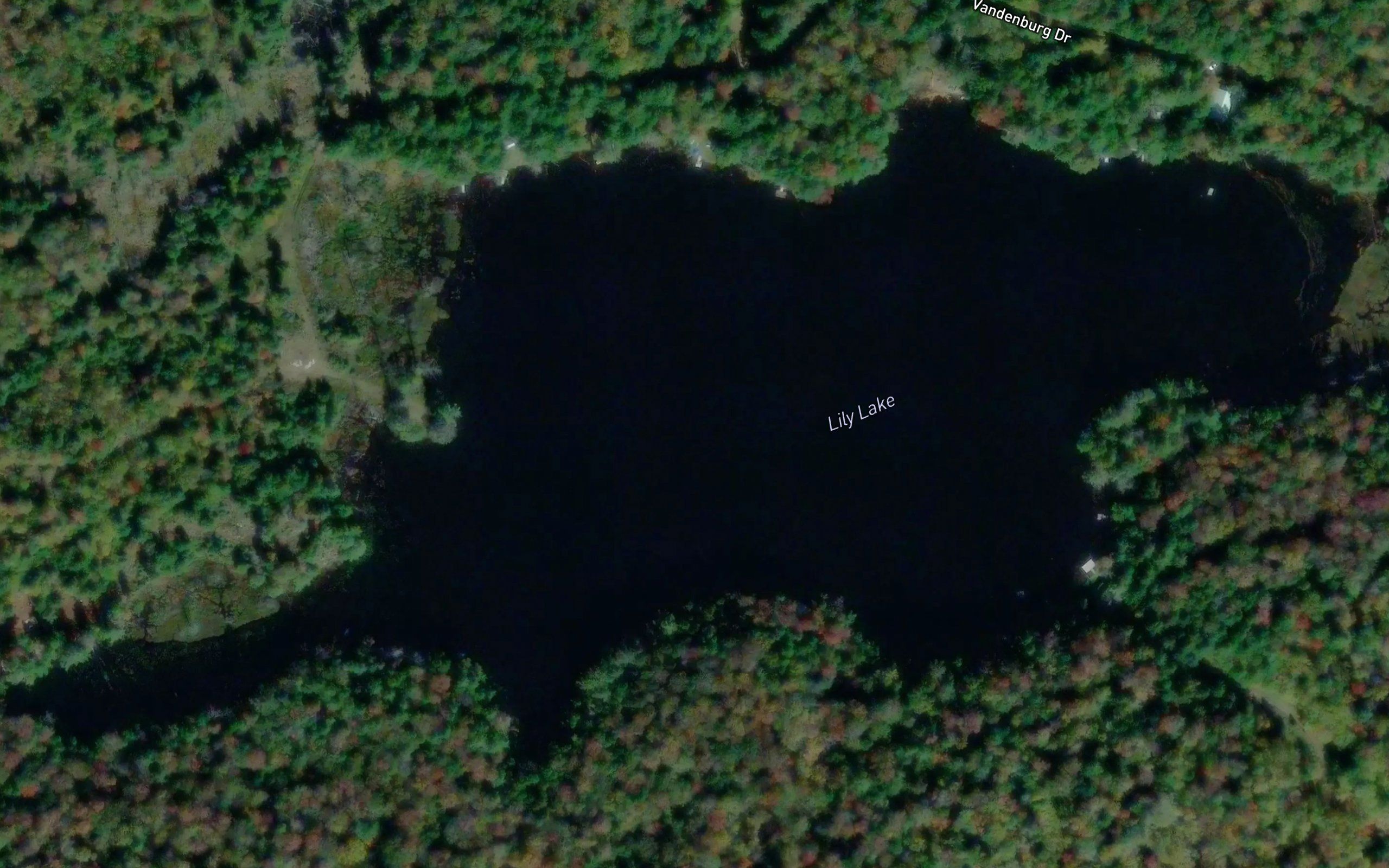 Lily Lake