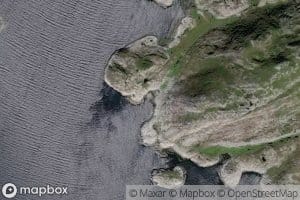 Telletomtvika