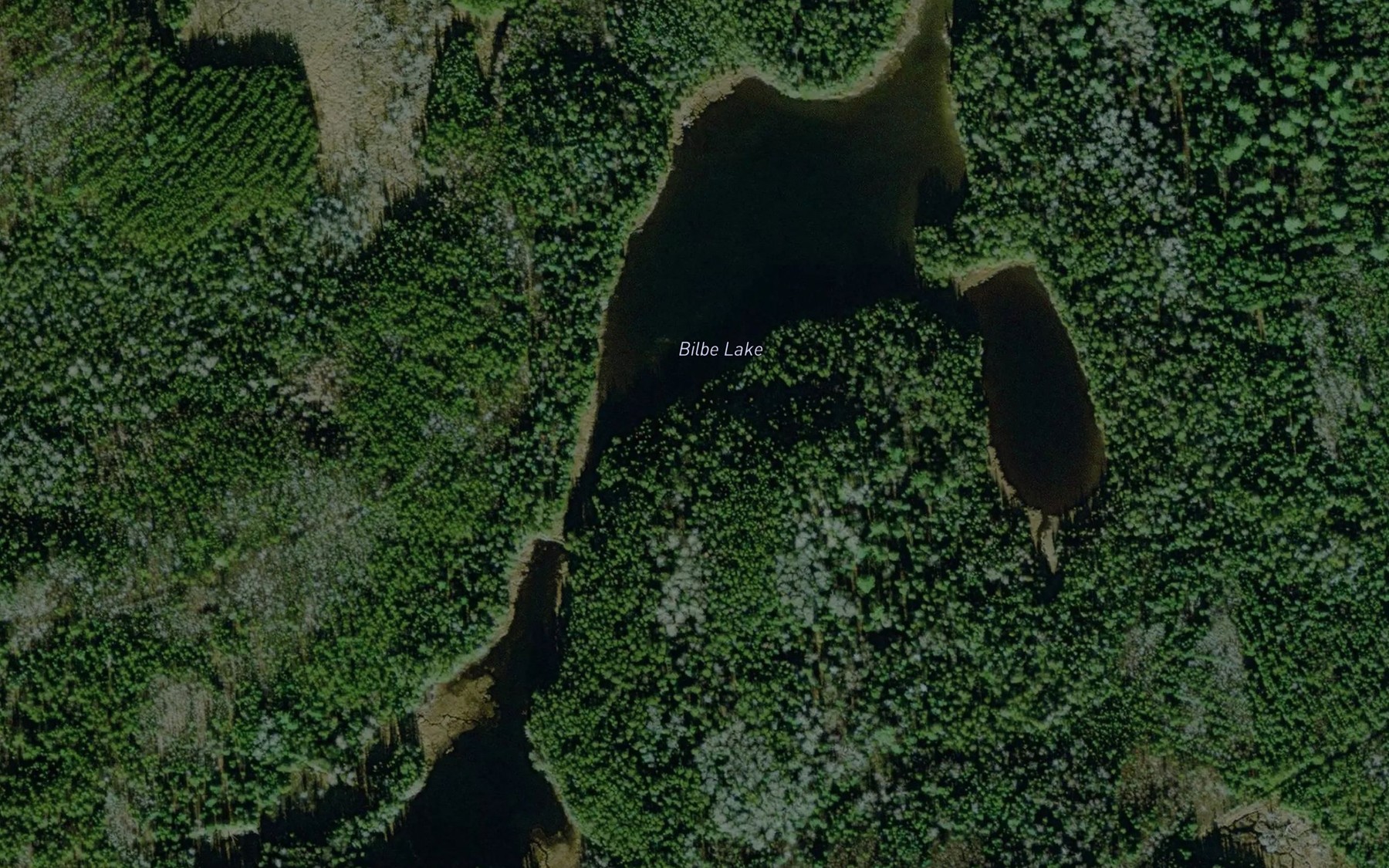 Satellite map of the Bilbe Lake