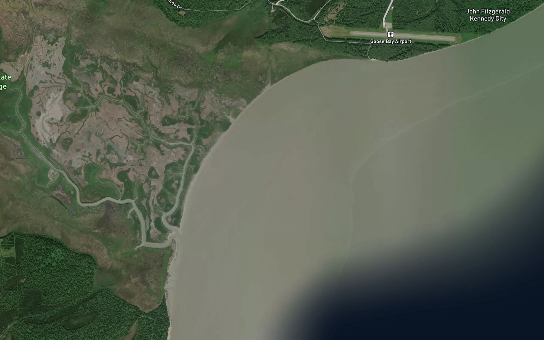 Satellite map of the Goose Bay