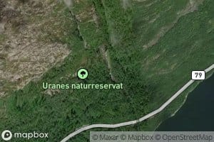 Urdaneselvi