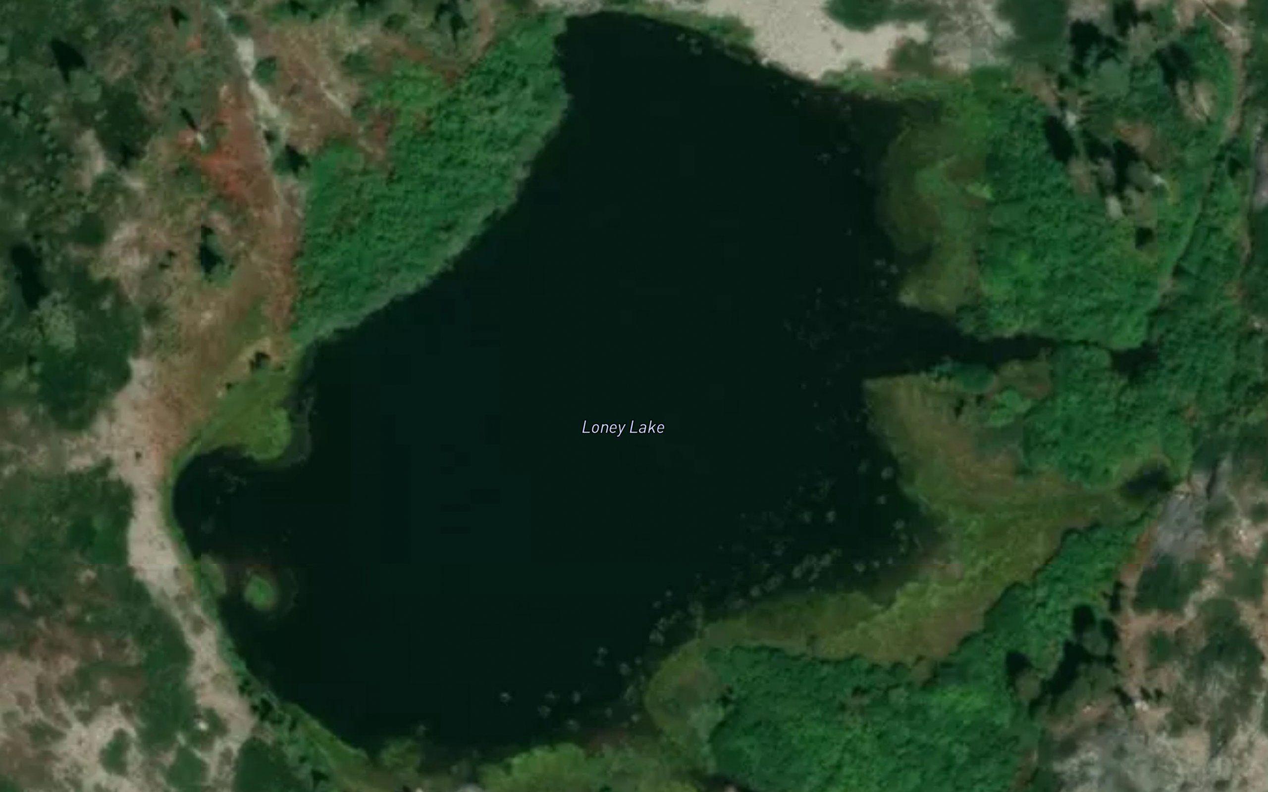 Loney Lake