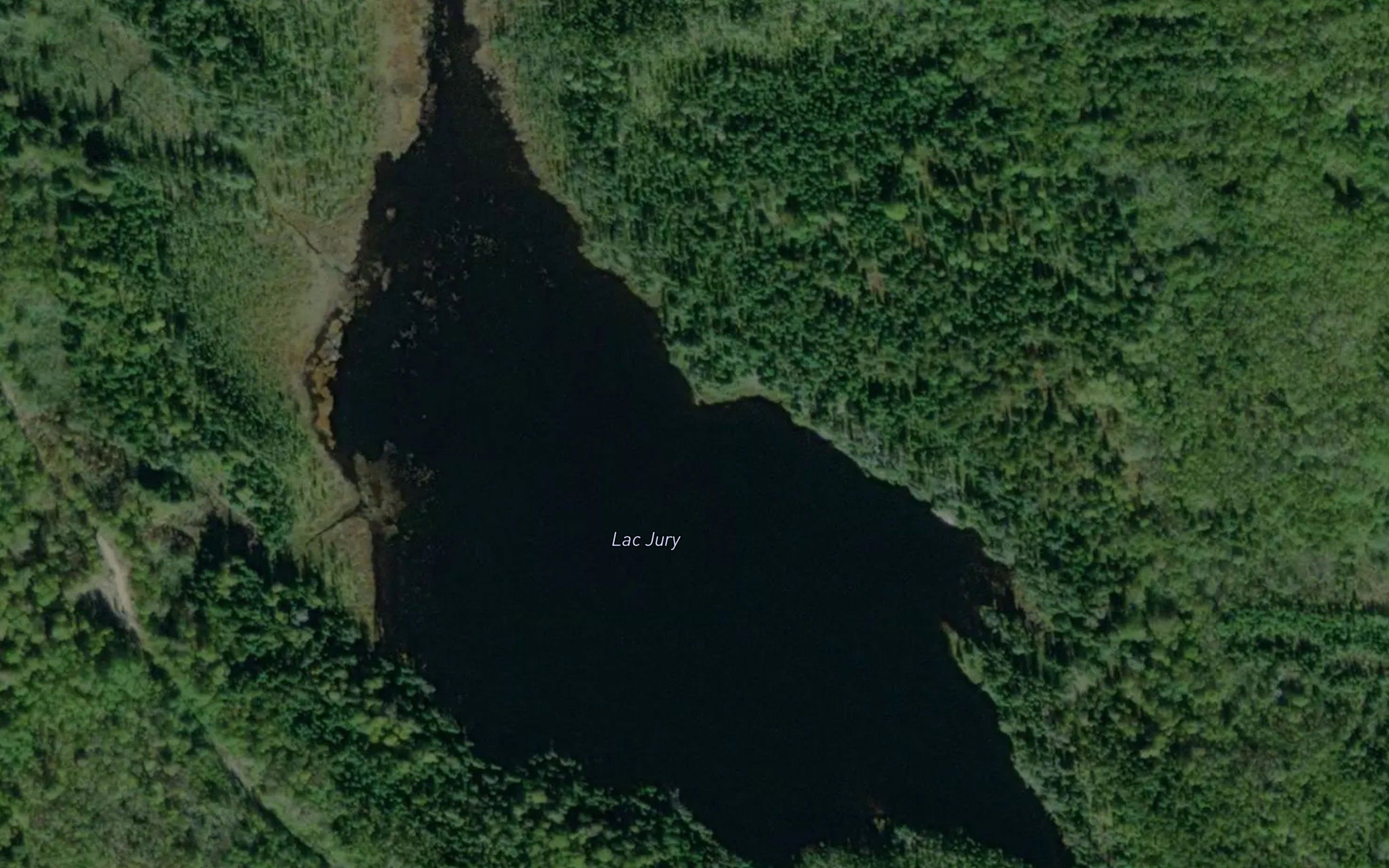 Lac Jury
