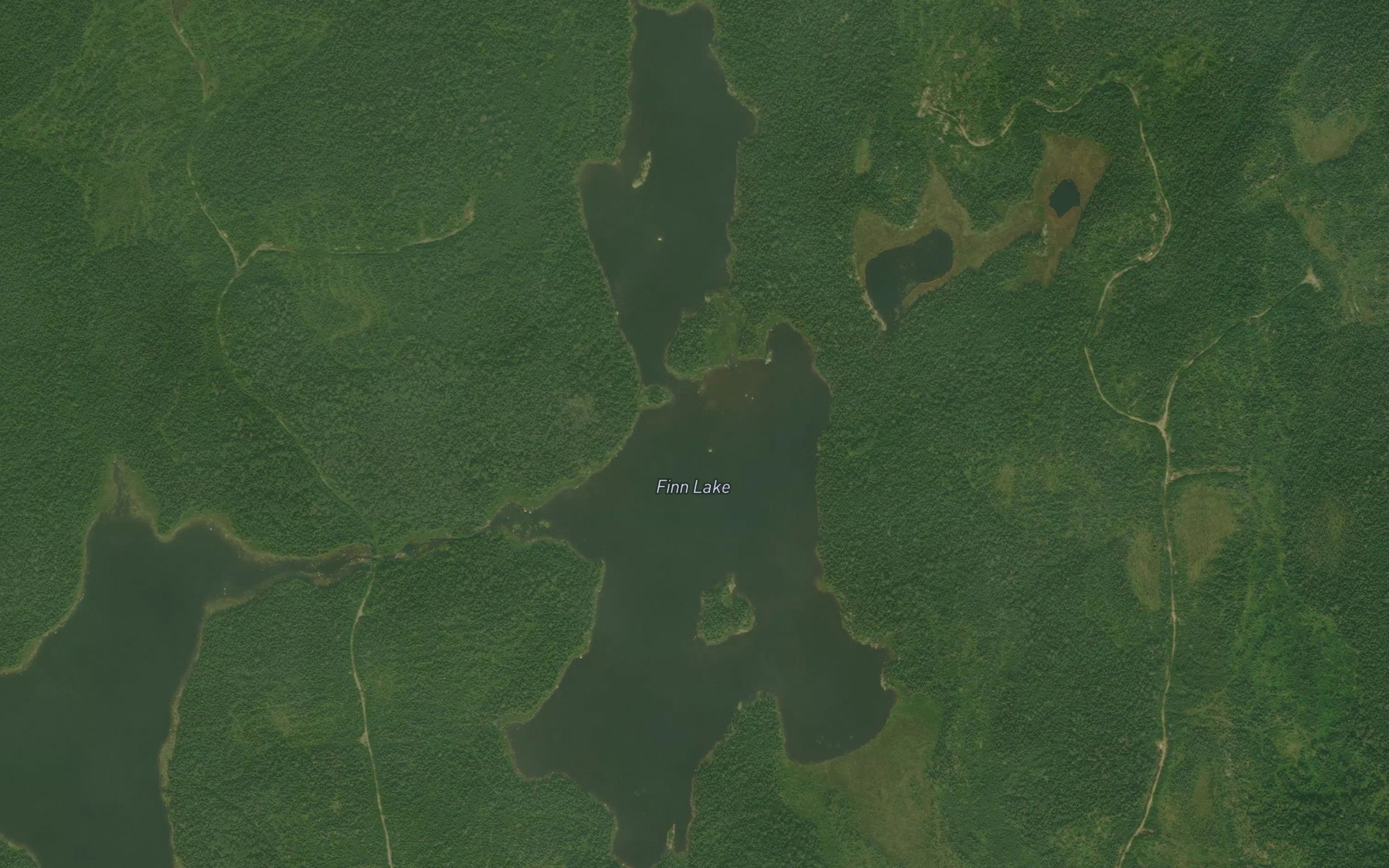 Satellite map of the Finn Lake