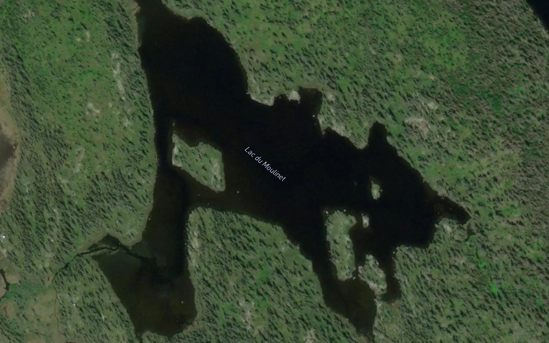 Satellite map of the Lac du Moulinet