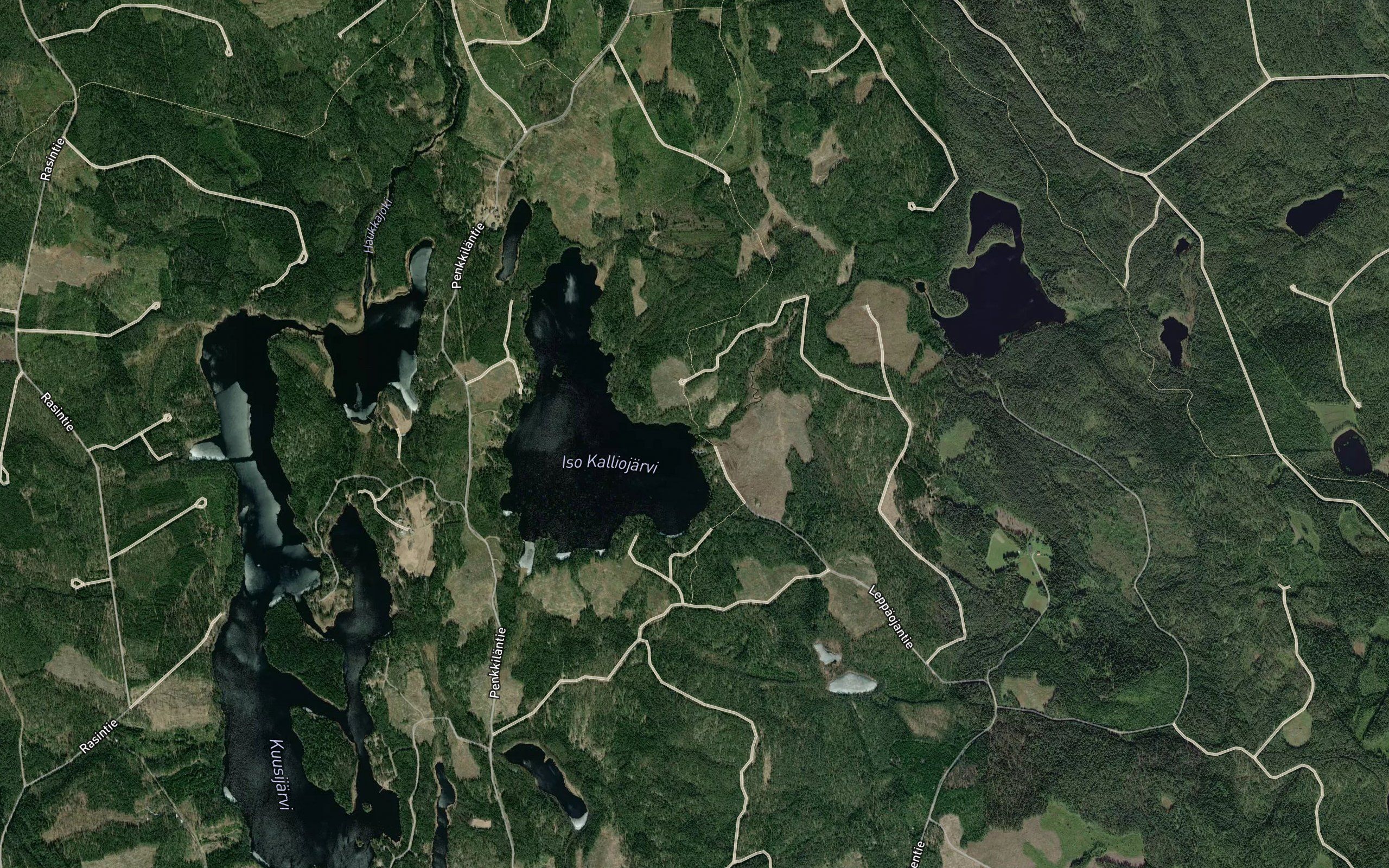Leppajarvenoja