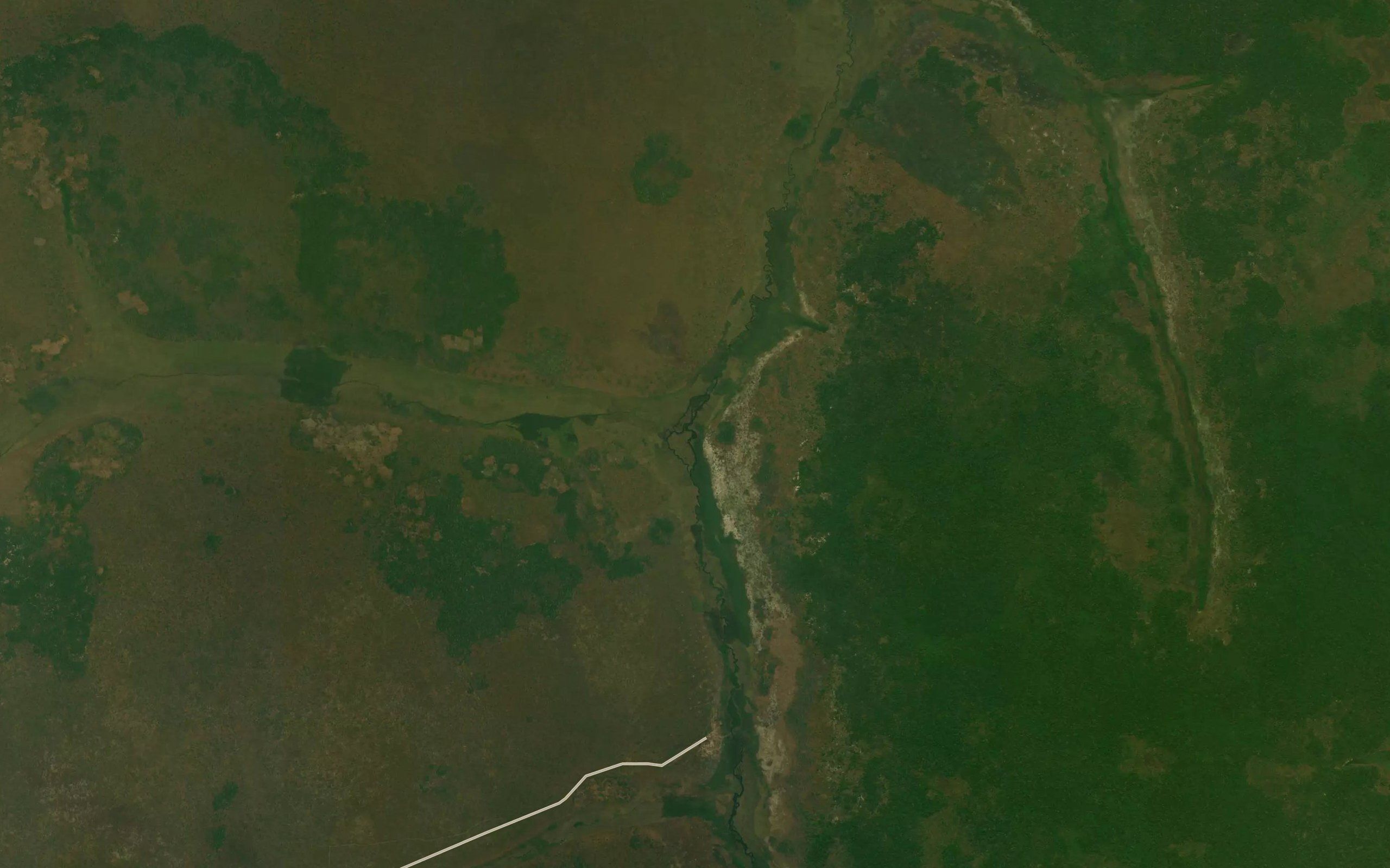Luvo