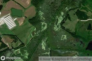 Little Cypress Creek