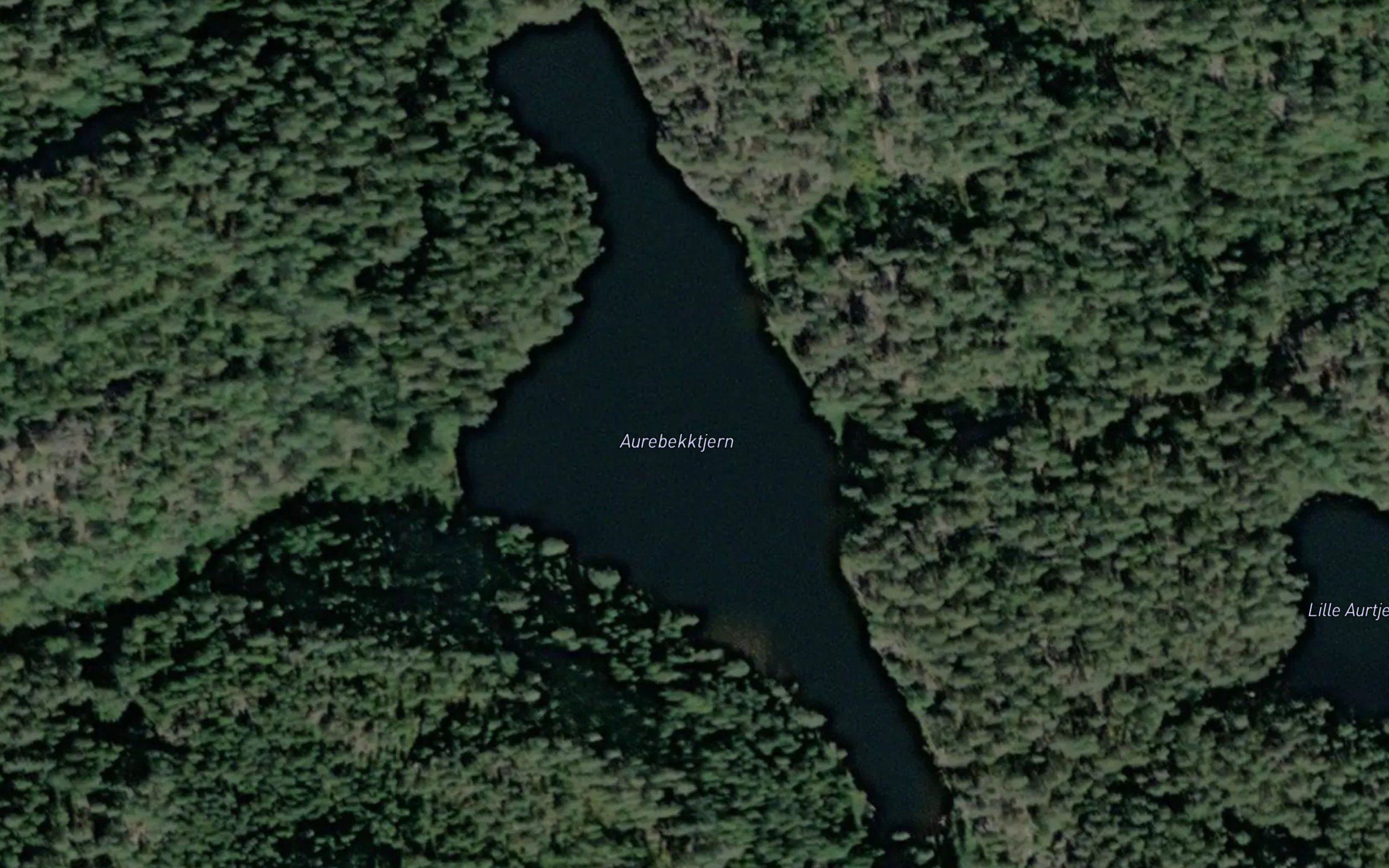 Aurebekktjern