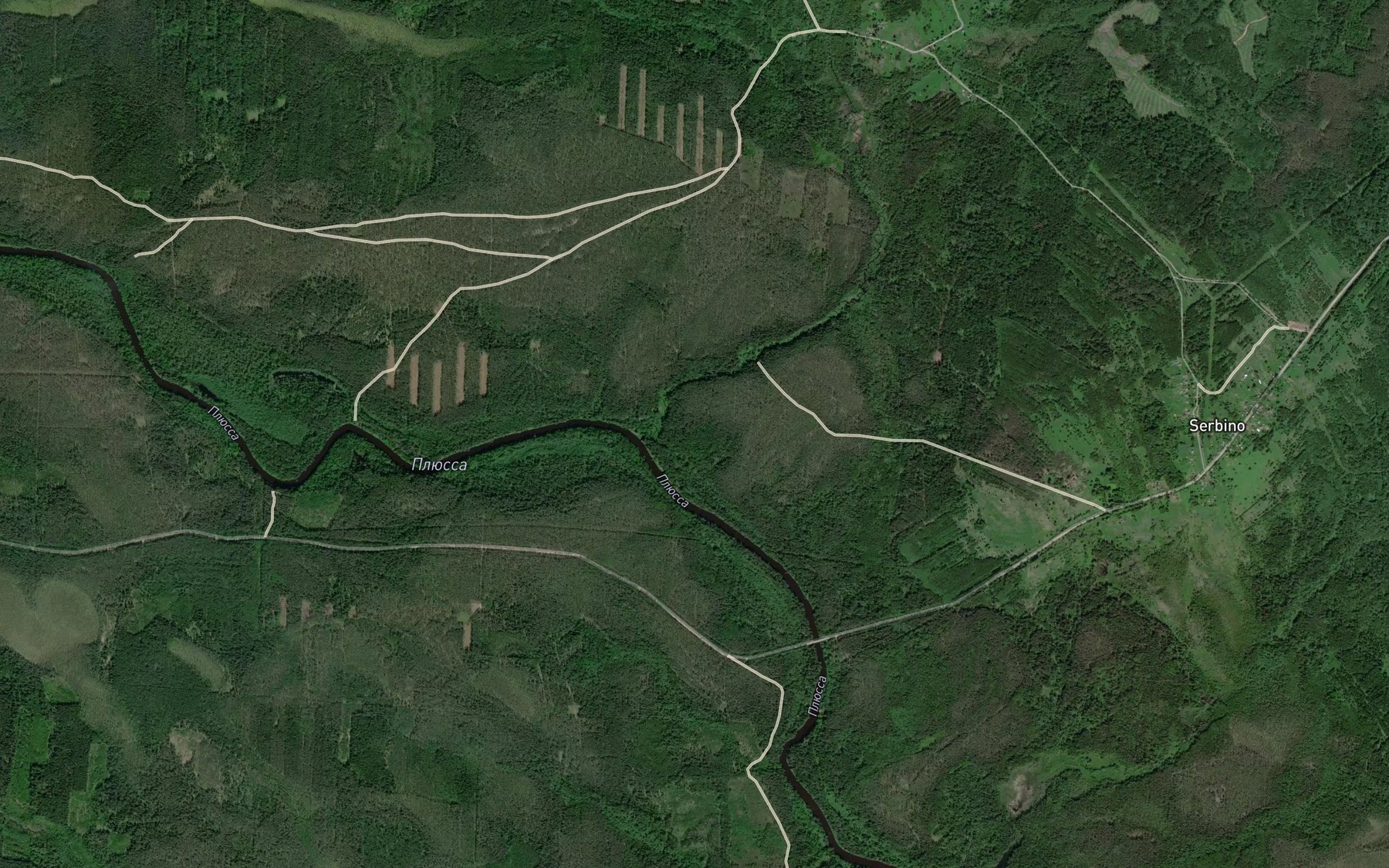 Satellite map of the Fednitsa