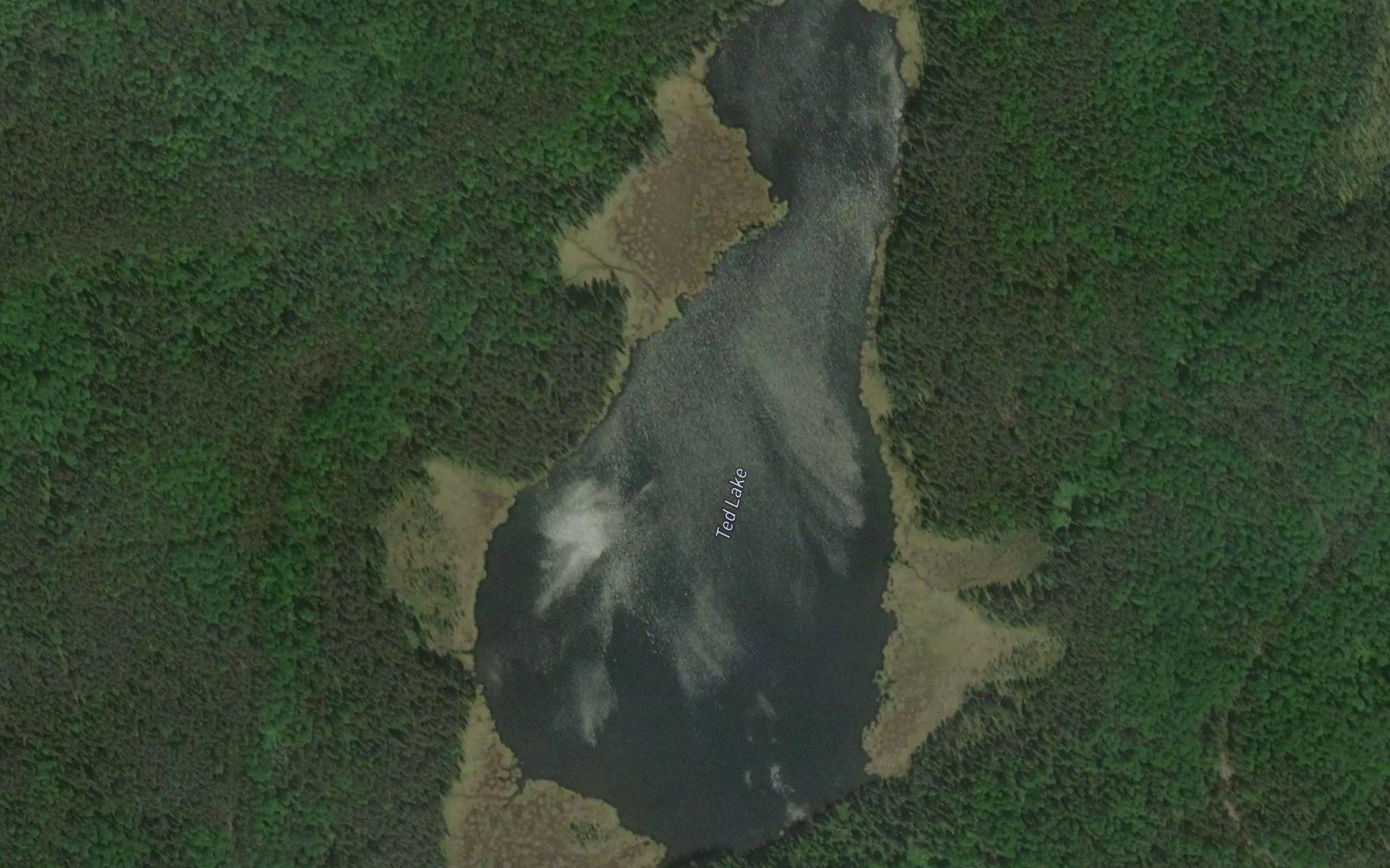 Ted Lake