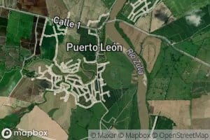 Cano Leon