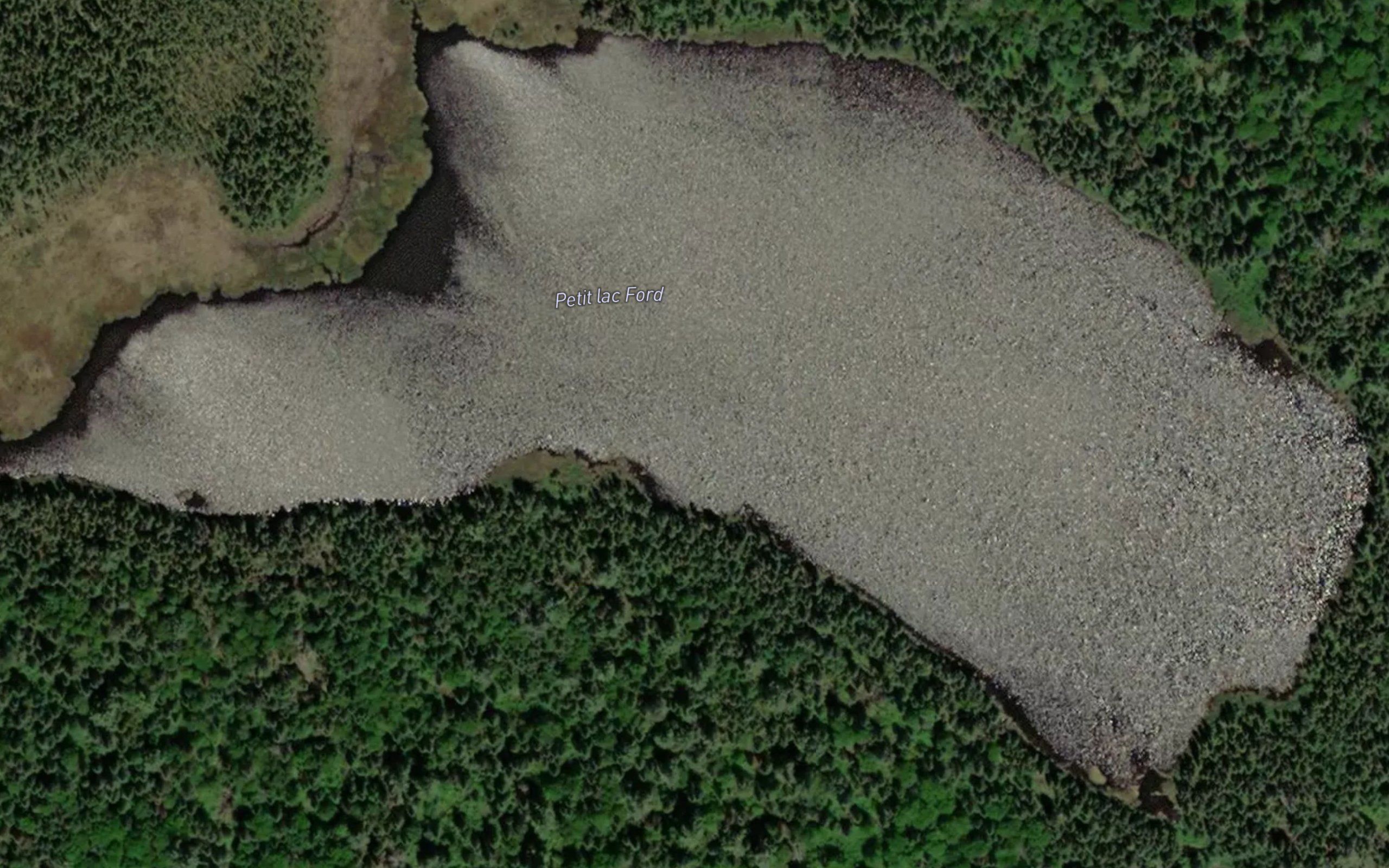 Petit lac Ford