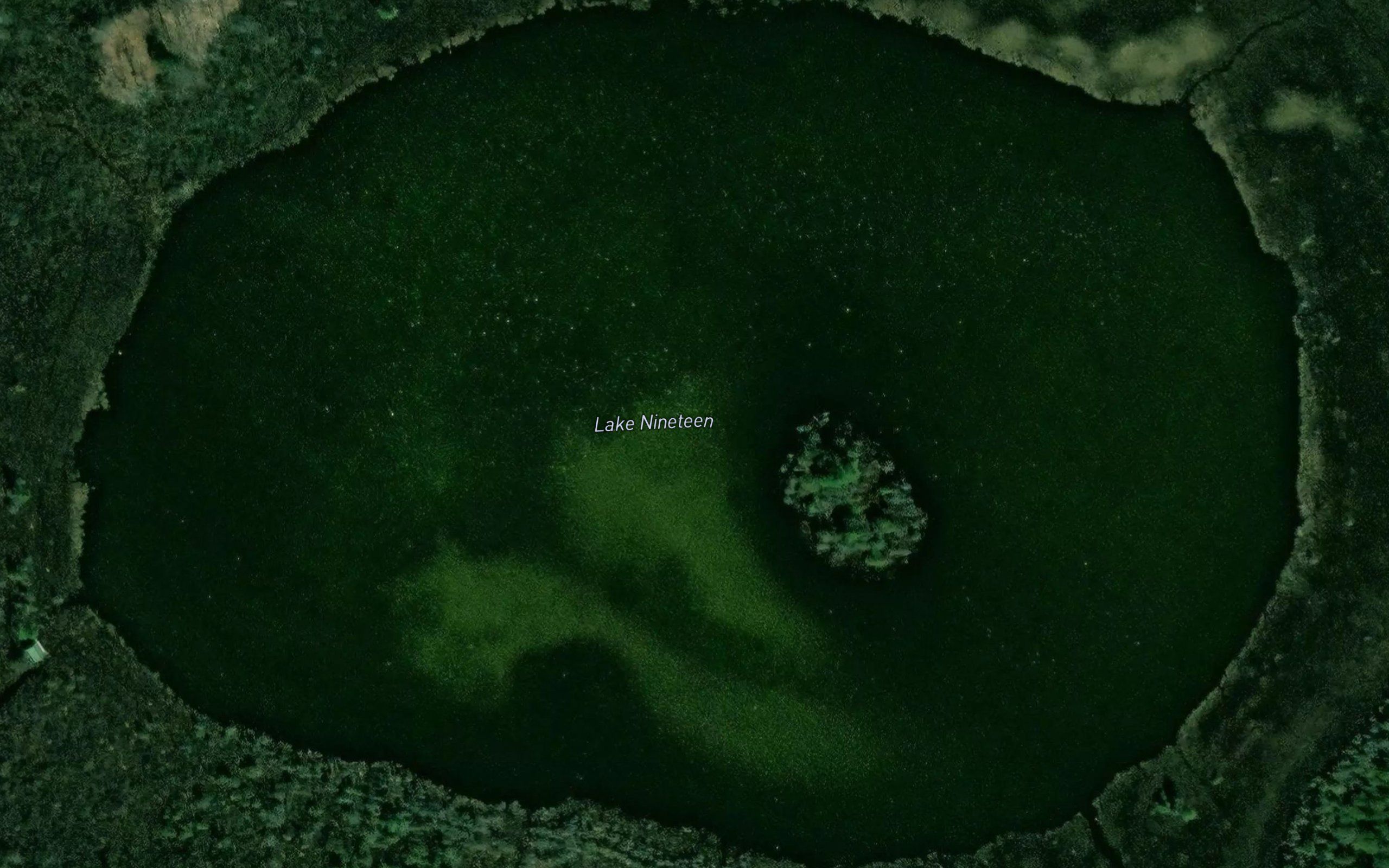 Lake Nineteen