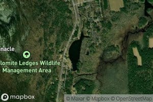 Berkshire Trout Pond