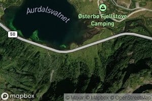 Venasetgrovi