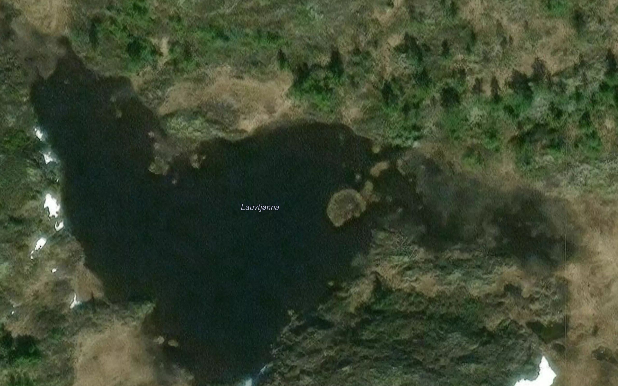 Lauvtjorna