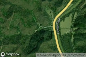 Right Fork Shannon Branch