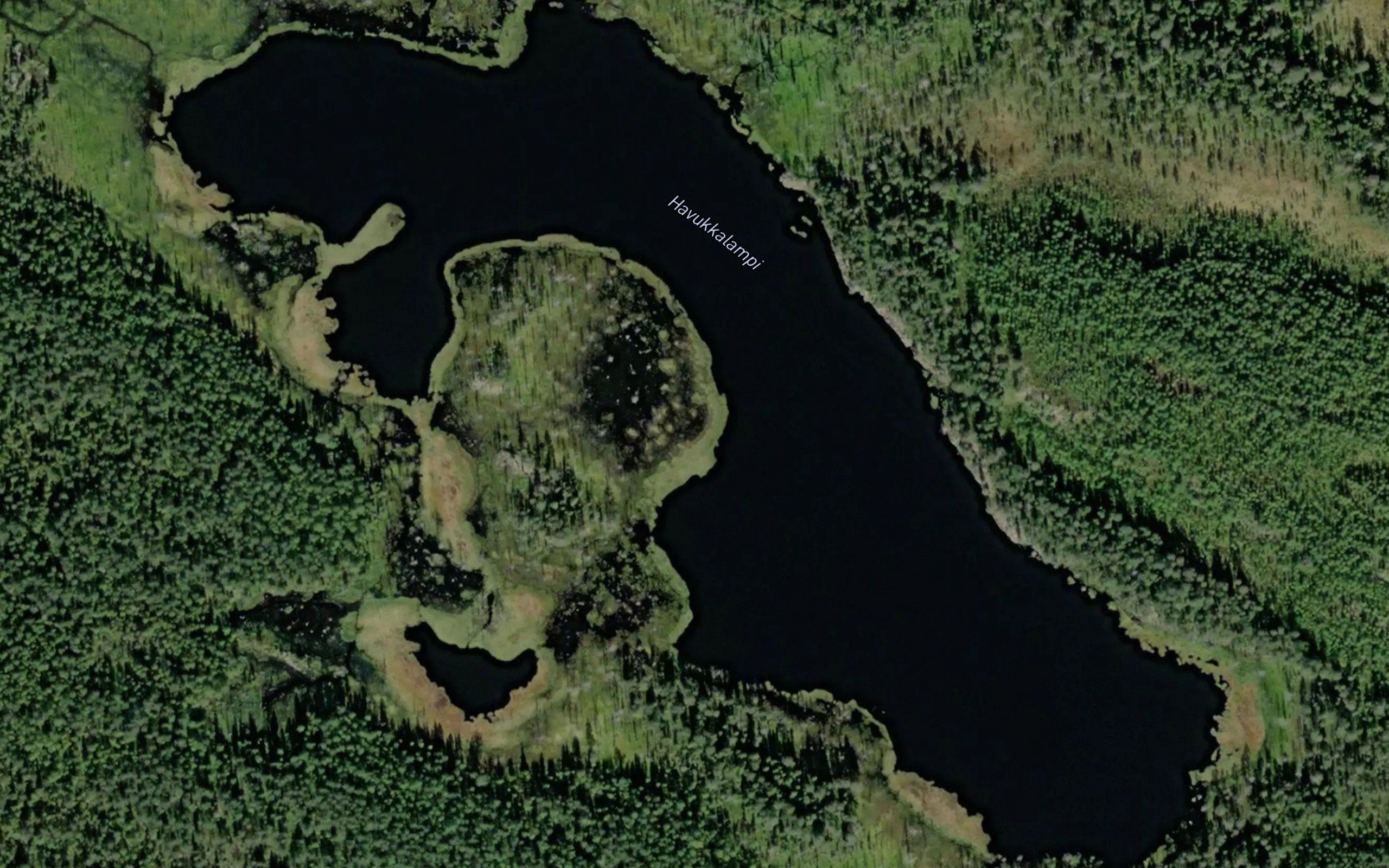 Havukkalampi