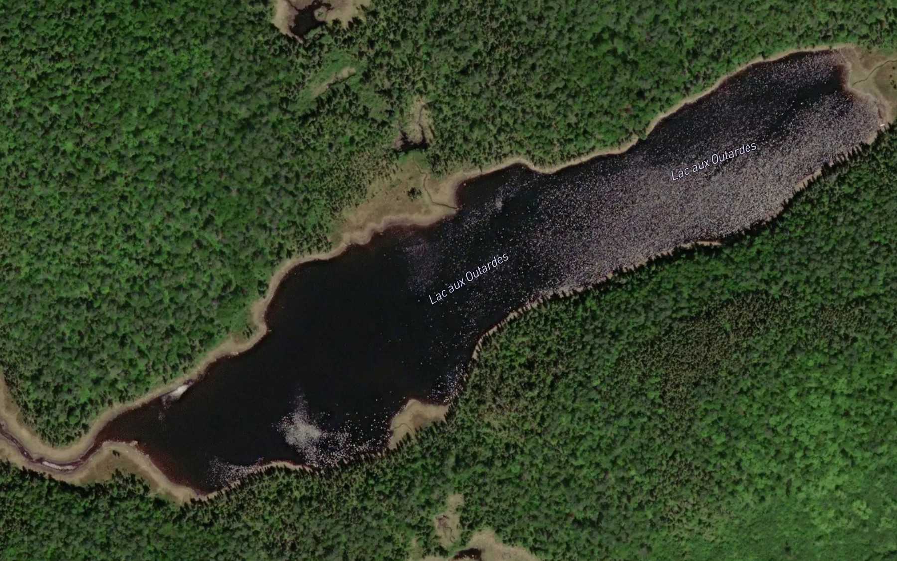Satellite map of the Lac aux Outardes