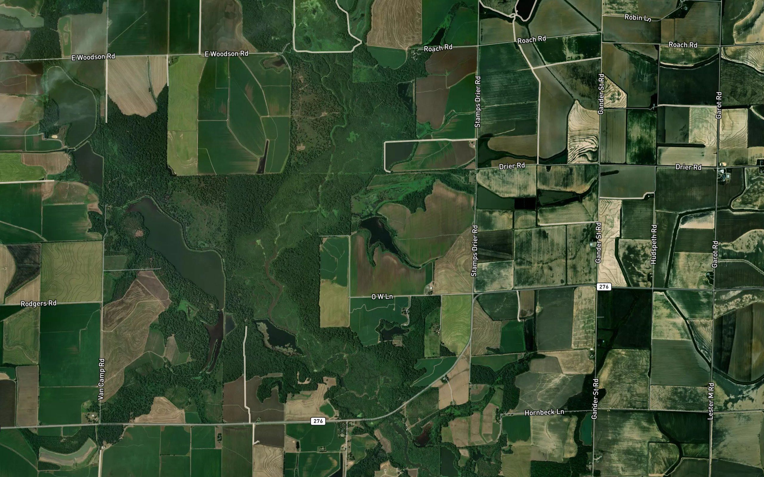 Lake Wilson