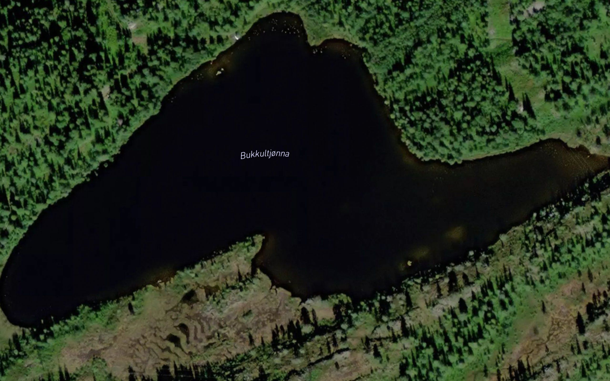 Bukkultjonna