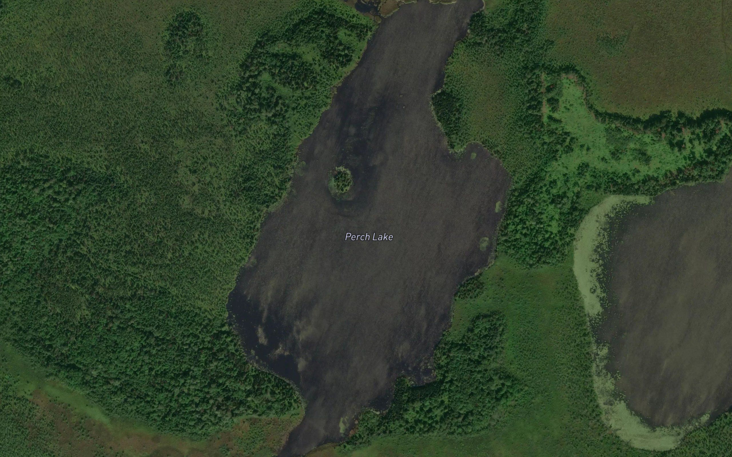 Perch Lake