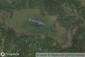 Kvitingen