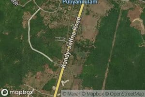 Panichcha Puliyan Kulam