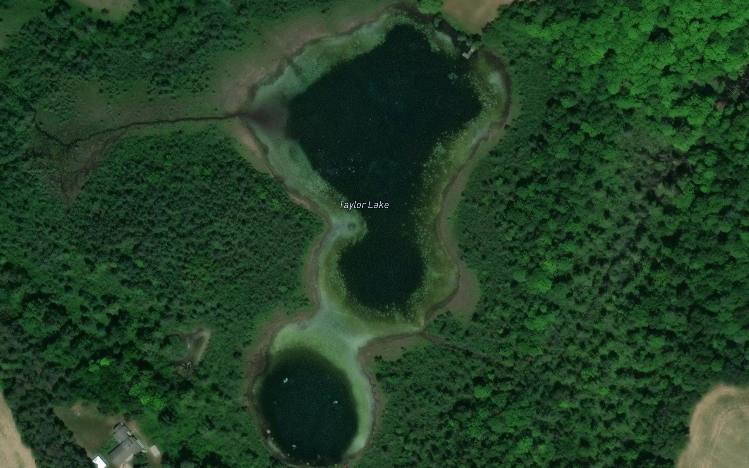 Taylor Lake