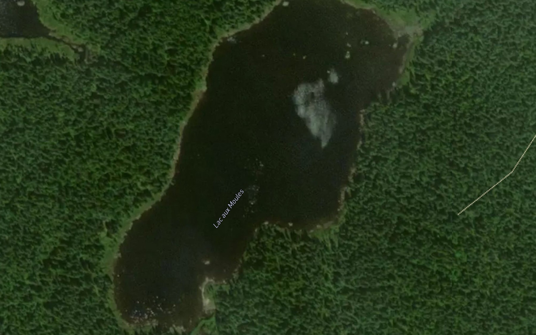 Satellite map of the Lac aux Moules