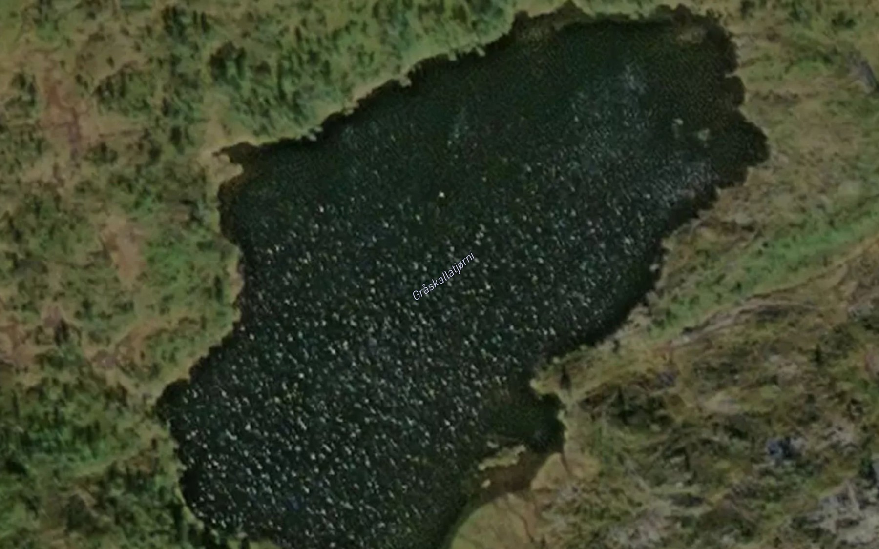 Satellite map of the Graskallatjorni