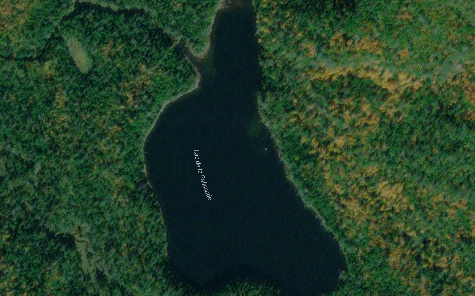 Satellite map of the Lac de la Palissade