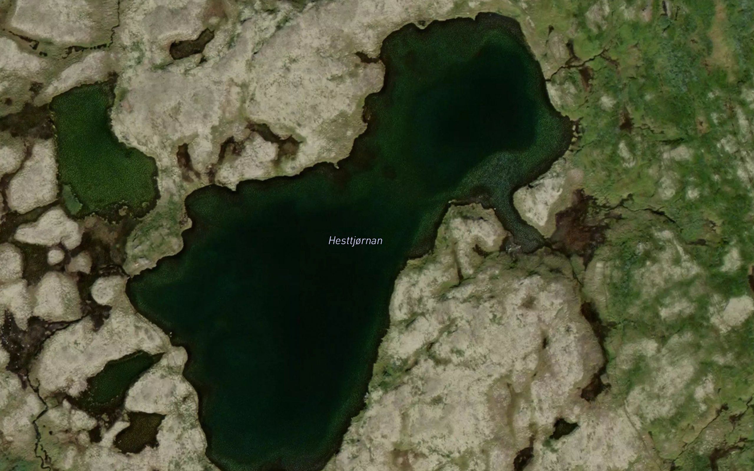 Hesttjornan