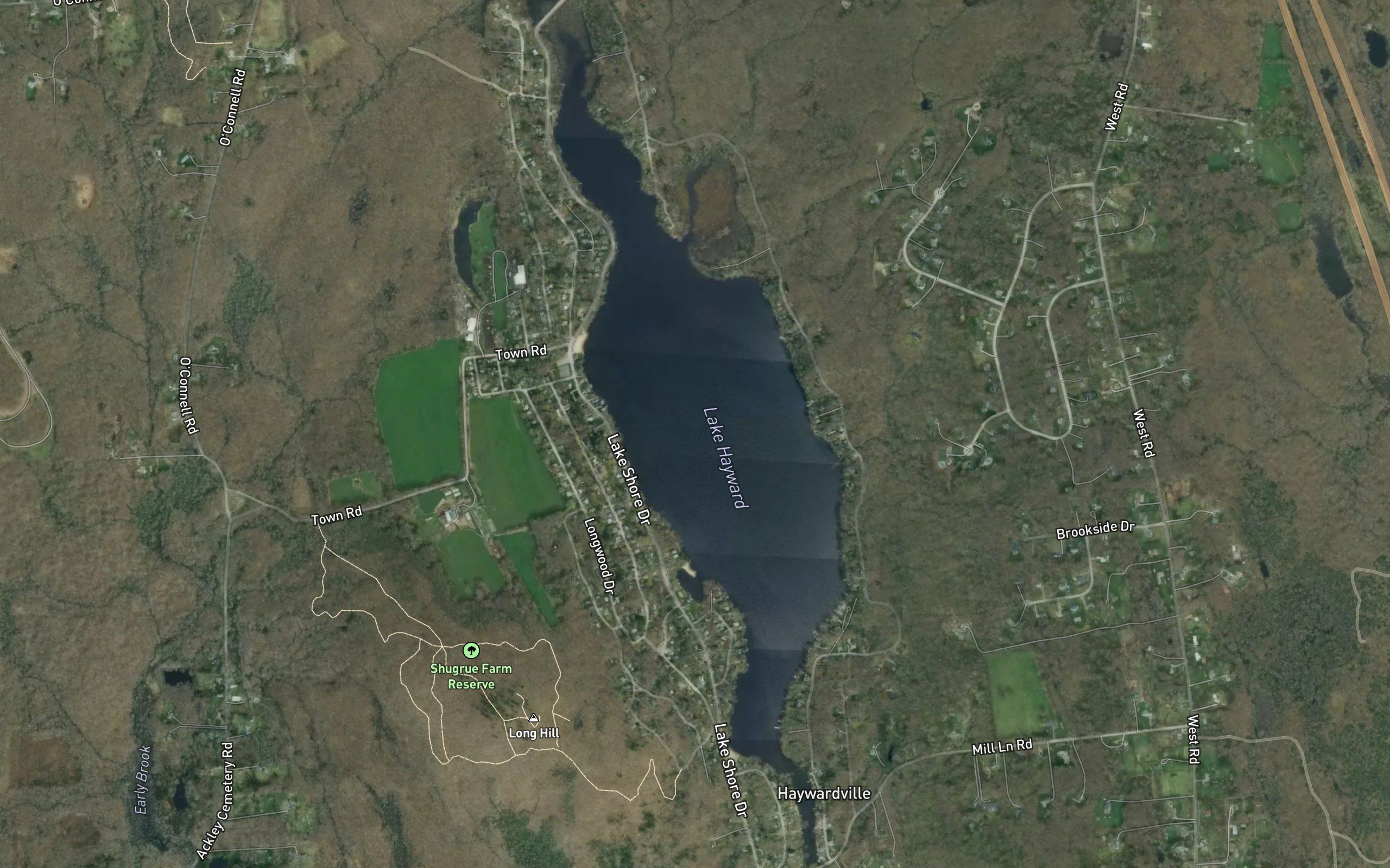 Lake Hayward