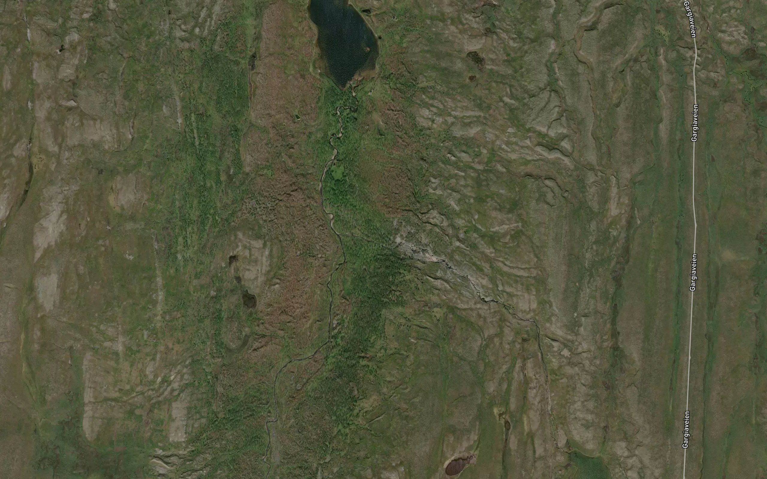 Guastejakka