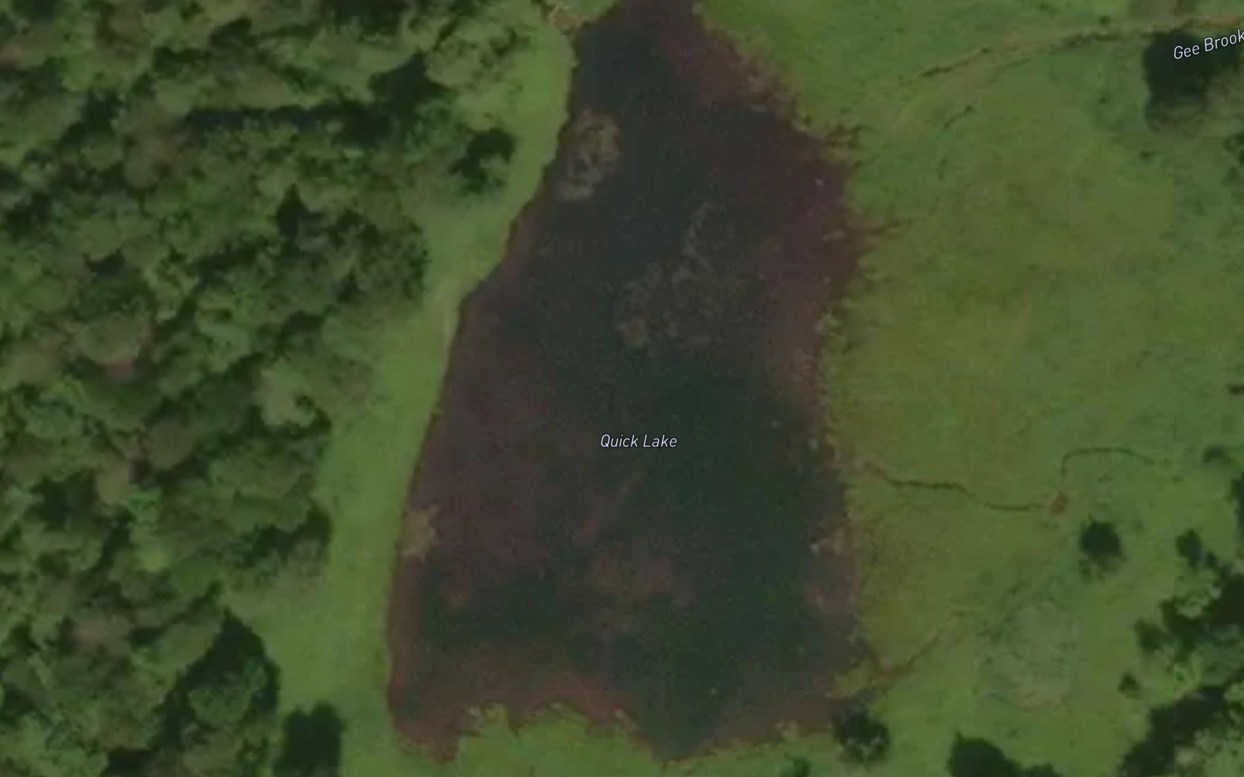 Quick Lake
