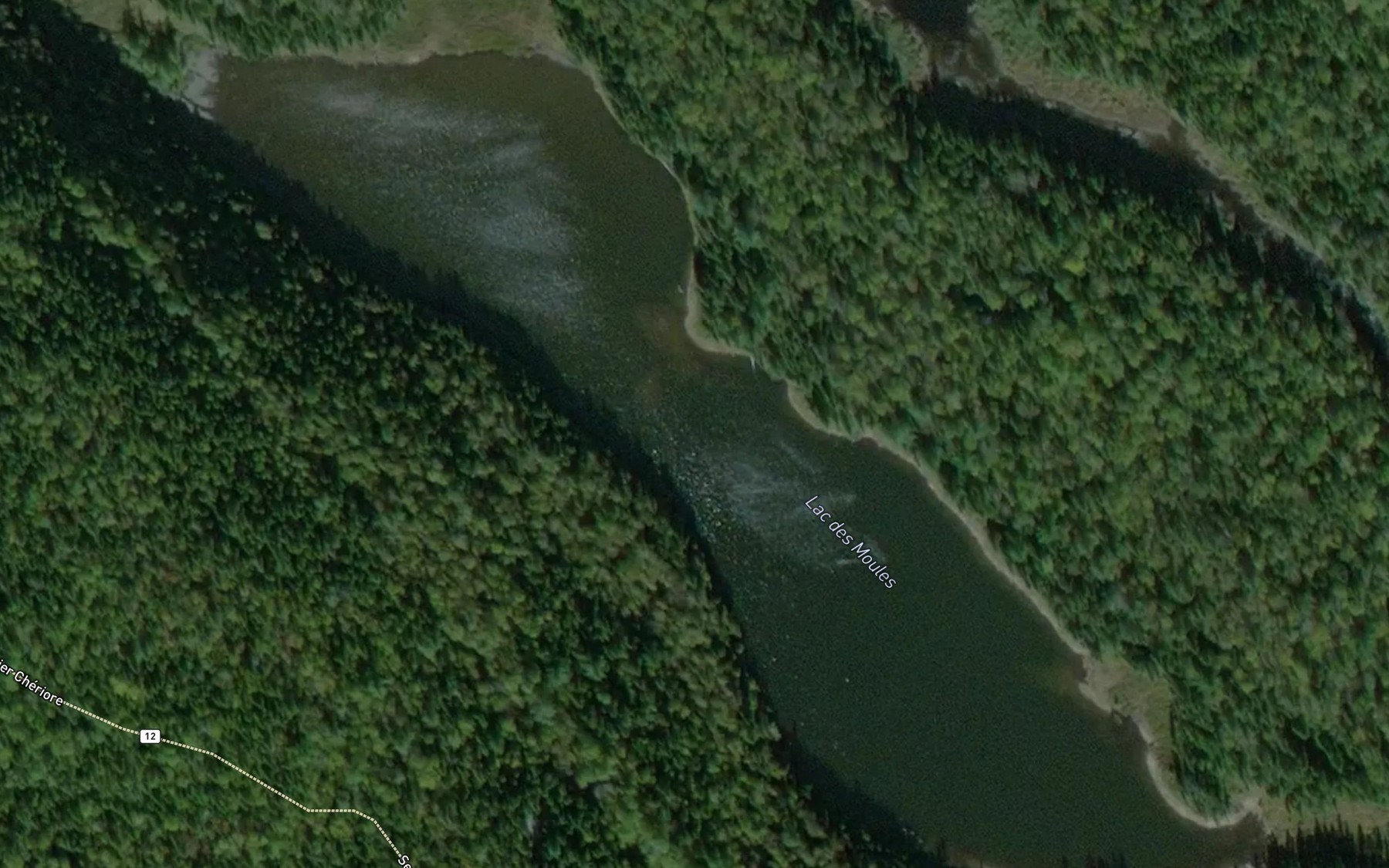 Satellite map of the Lac des Moules