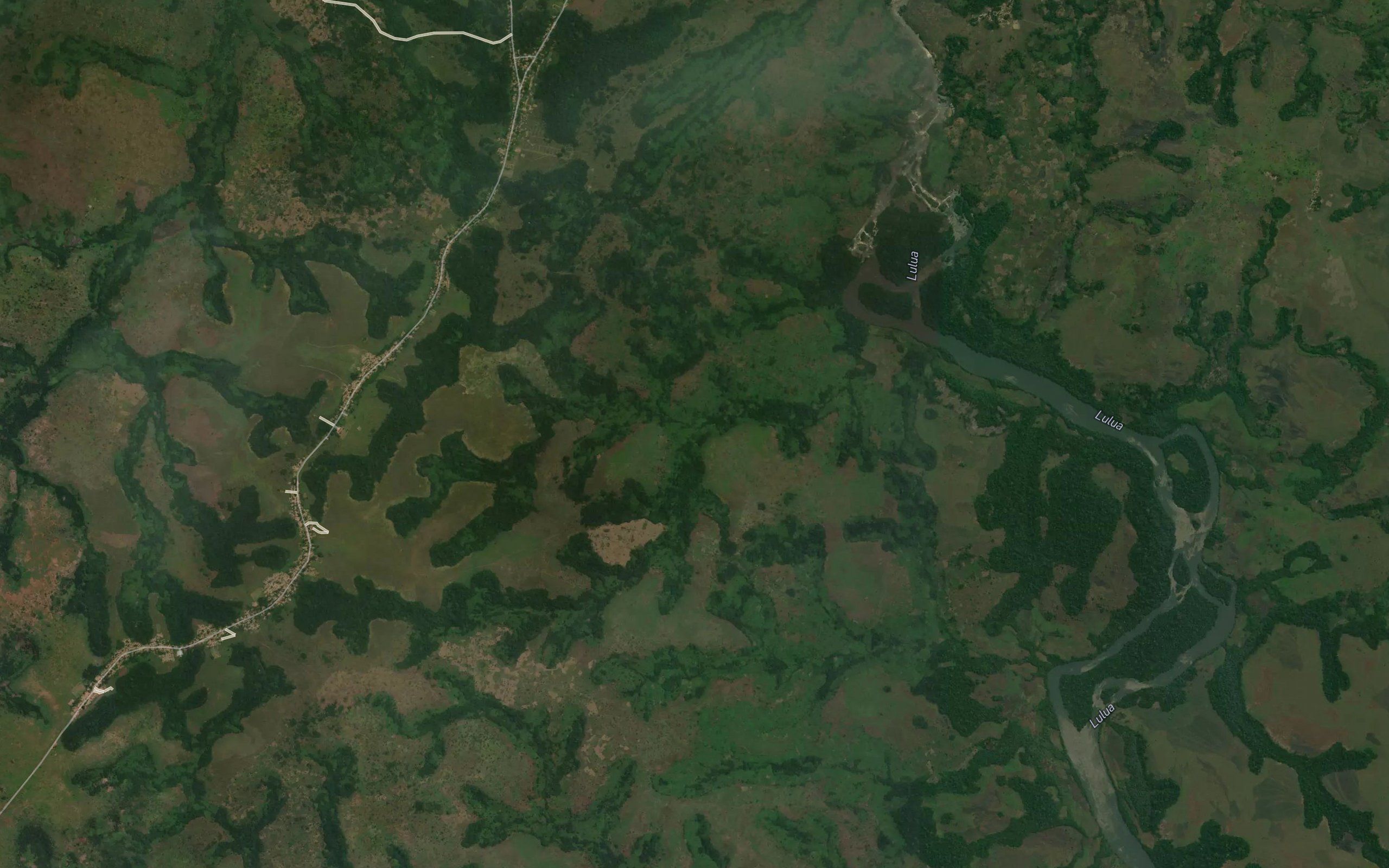 Kamankisi