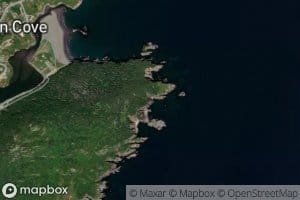 Salmon Cove Gut