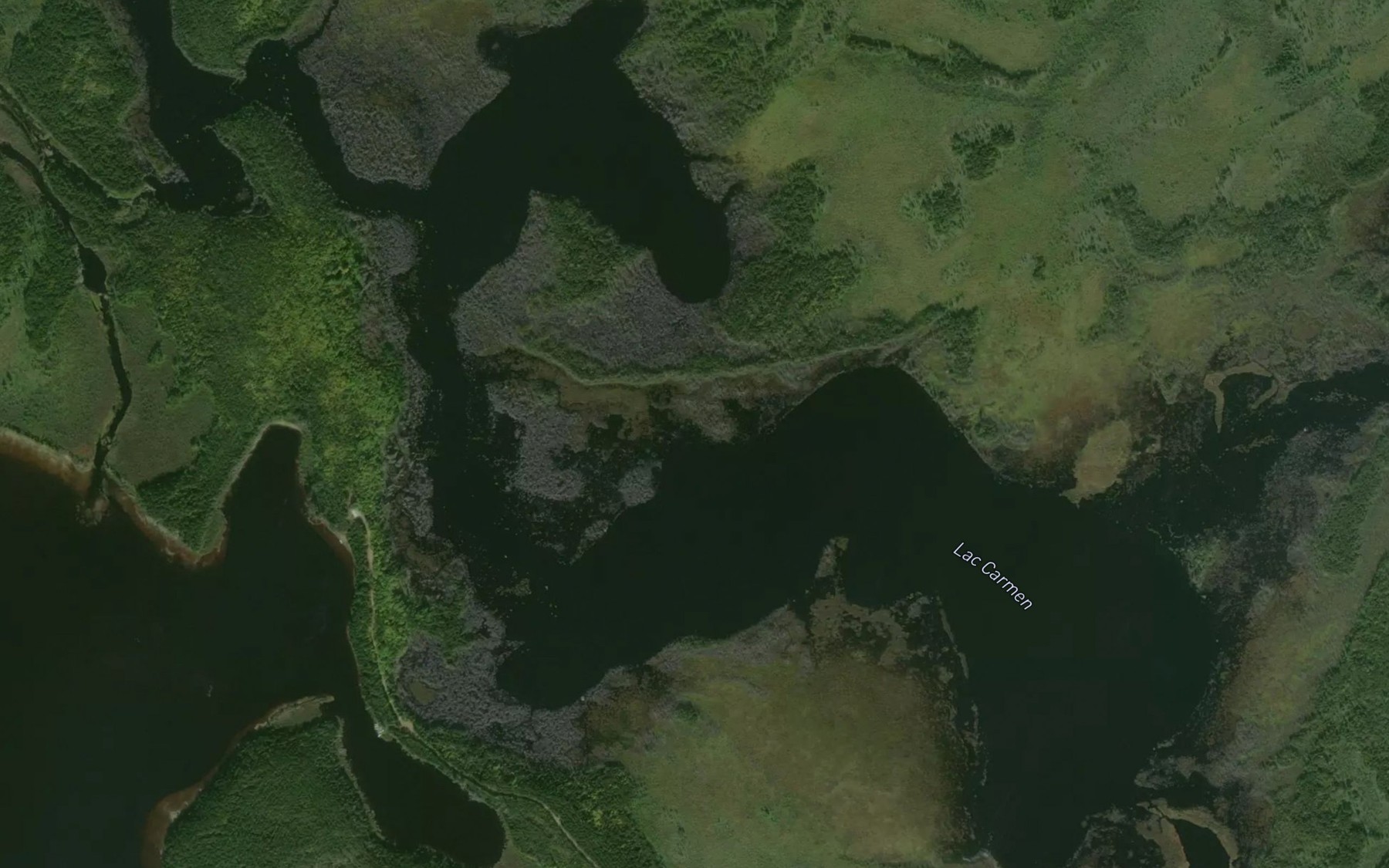 Satellite map of the Lac Carmen