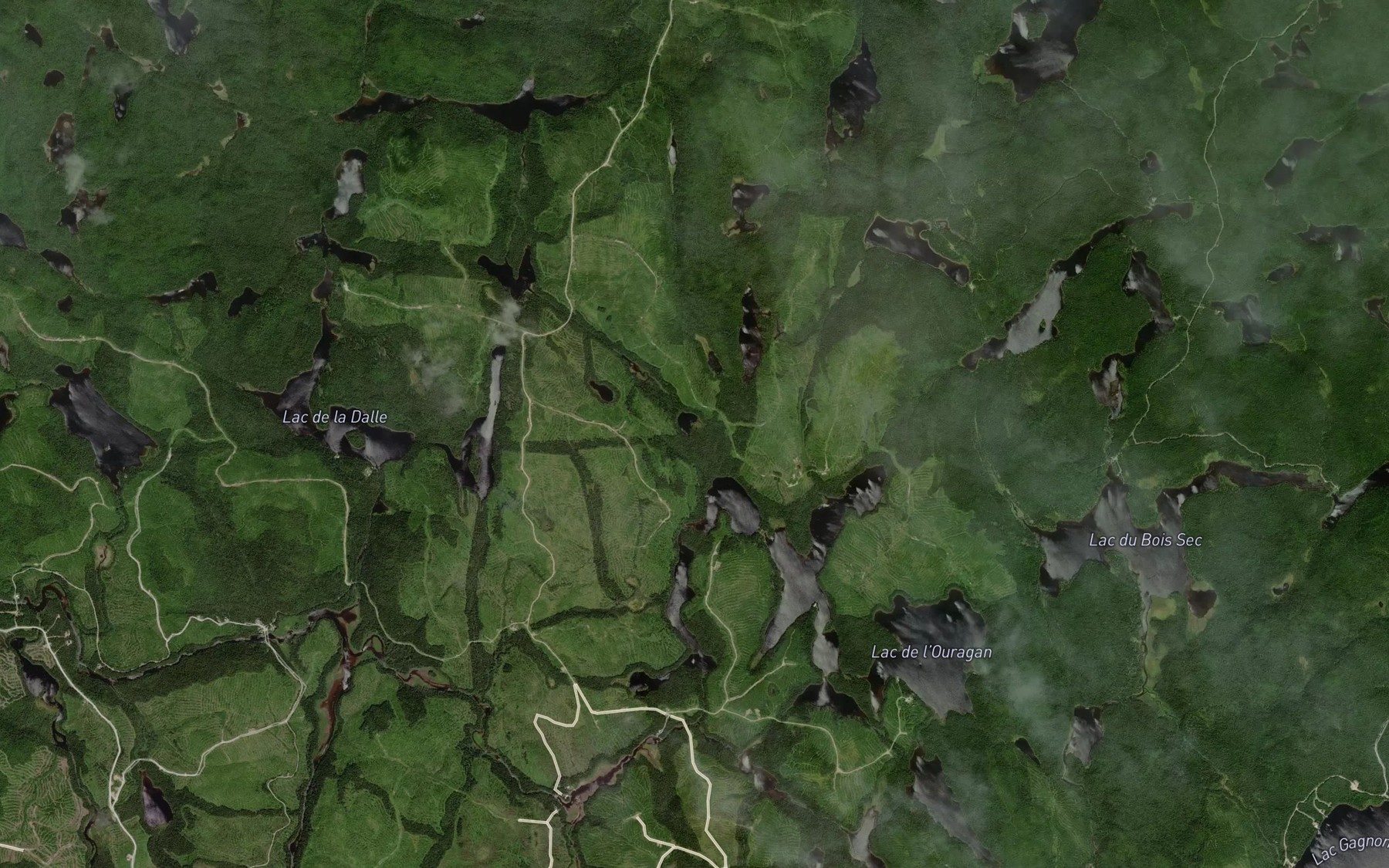 Satellite map of the Lac du Bosquet