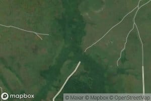 Makangu