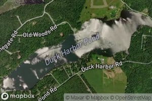 Duck Harbor Pond